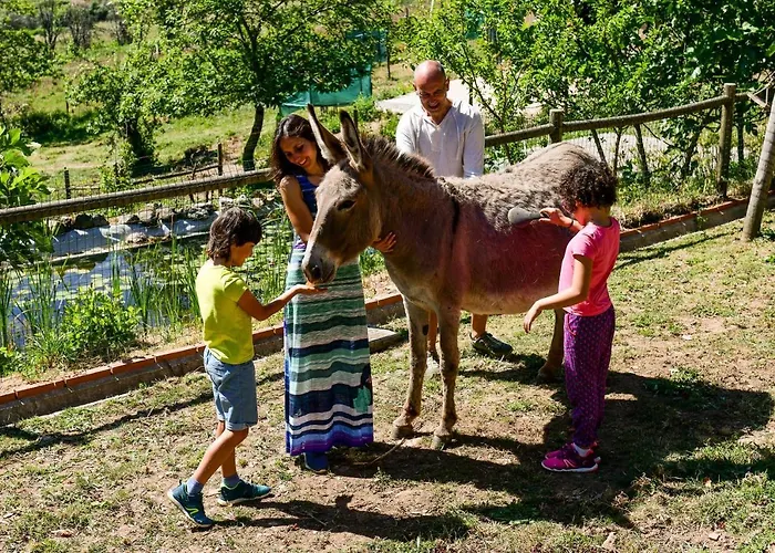 Vale Do Ninho Nature Houses
