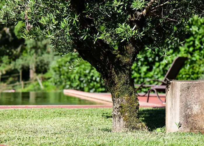 Vale Do Ninho Nature Houses