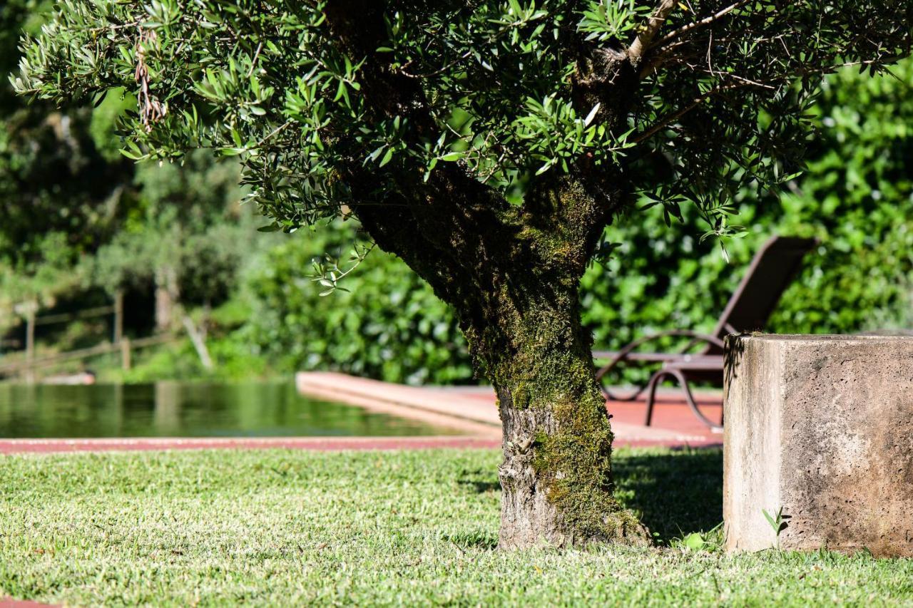 Vale Do Ninho Nature