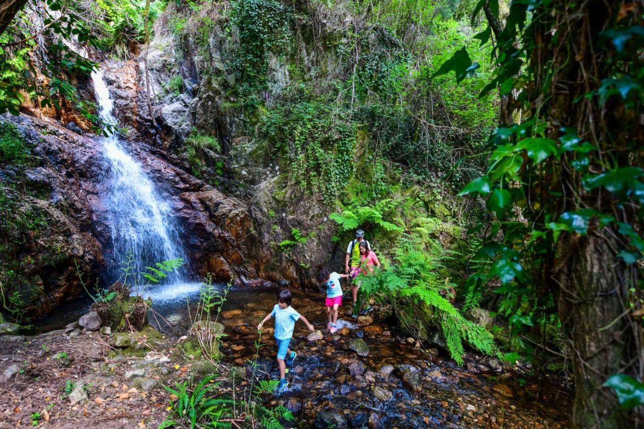 Vale Do Ninho Nature